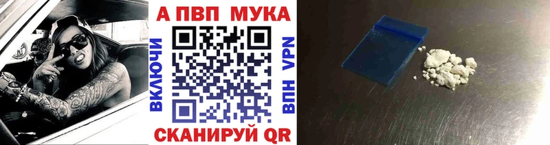 сколько стоит  блэк спрут как зайти  Альфа ПВП СК  Котельниково 