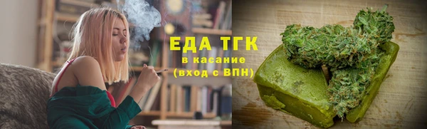индика Бронницы