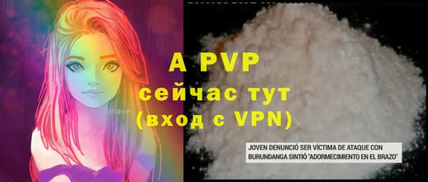 ECSTASY Богородск