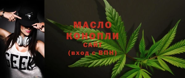 индика Бронницы
