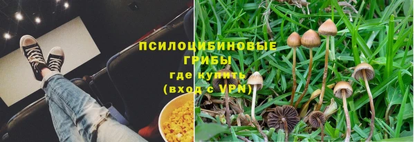 jwh Бородино
