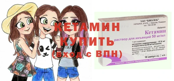индика Бронницы